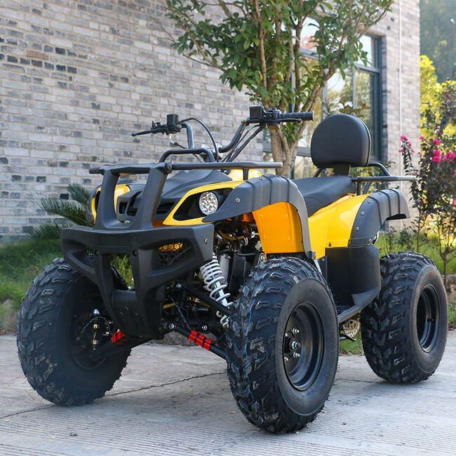 ATV002-Factory Direct 125cc 200cc Automatic ATV Gas Powered CE Off-Road