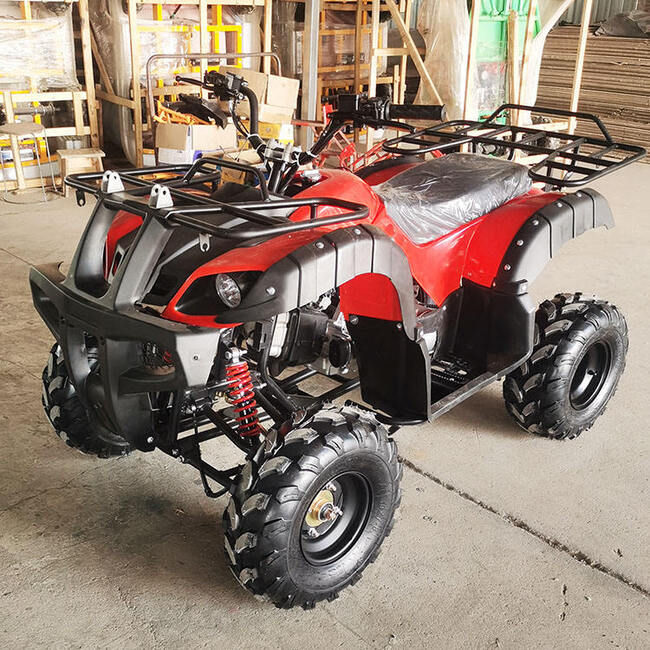 ATV002-Factory Direct 125cc 200cc Automatic ATV Gas Powered CE Off-Road