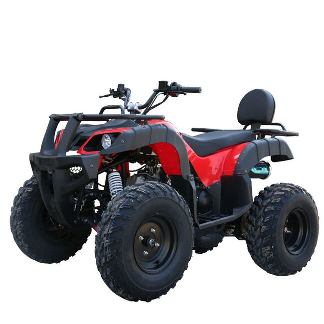 ATV002-Factory Direct 125cc 200cc Automatic ATV Gas Powered CE Off-Road