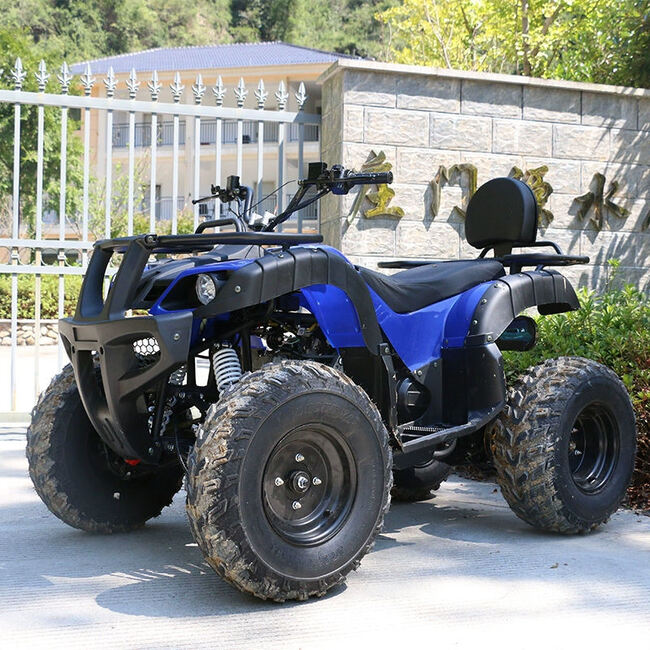 ATV002-Factory Direct 125cc 200cc Automatic ATV Gas Powered CE Off-Road