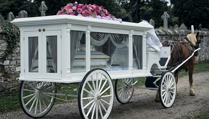 Customer Customization Case: Horse-Drawn Hearse Carriage for Funerals – “Excellent Feedback from Our Client”